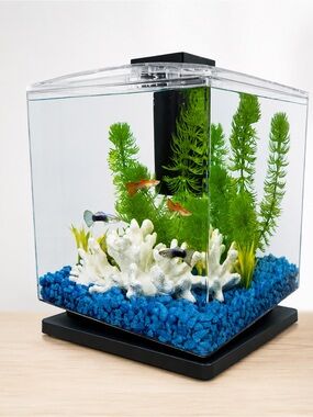 Tetra Cube Aquarium 1.5 Gallon LED Light Whisper Filter Kit New Open Box